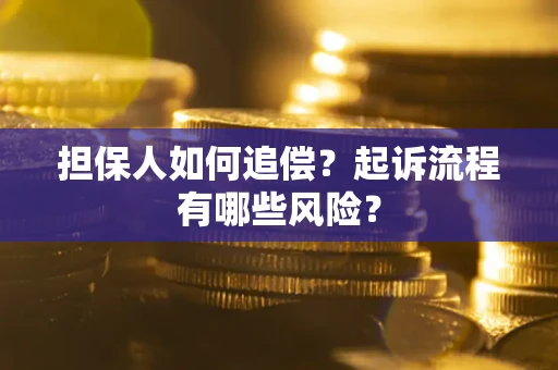 北京担保人如何追偿？起诉流程有哪些风险？