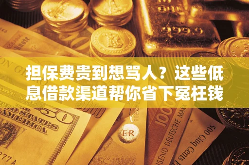 北京担保费贵到想骂人？这些低息借款渠道帮你省下冤枉钱