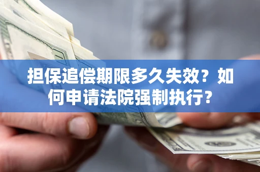 北京担保追偿期限多久失效？如何申请法院强制执行？