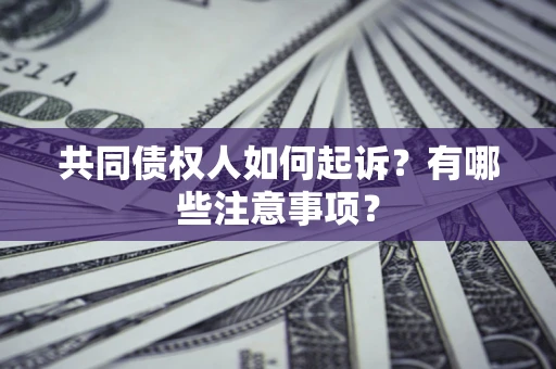 北京共同债权人如何起诉？有哪些注意事项？